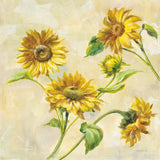 Farm Nostalgia Sunflowers by Danhui Nai. SKU 22851a. Archival Giclee Fine art print for wall decor.