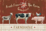 Farm Patchwork II by Danhui Nai. SKU 42198i. Archival Giclee Fine art print for wall decor.