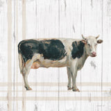 Farm Patchwork V White Wood by Danhui Nai. SKU 52887a. Archival Giclee Fine art print for wall decor.