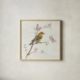 Female Goldfinch Vintage by Danhui Nai. Shown in a natural wood glass frame for a timeless modern aesthetic. Available as an archival giclee rolled canvas, fine art paper, or poster print. SKU 28599a.