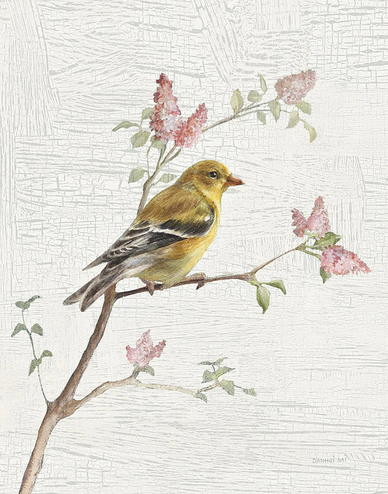 Female Goldfinch Vintage v2 by Danhui Nai