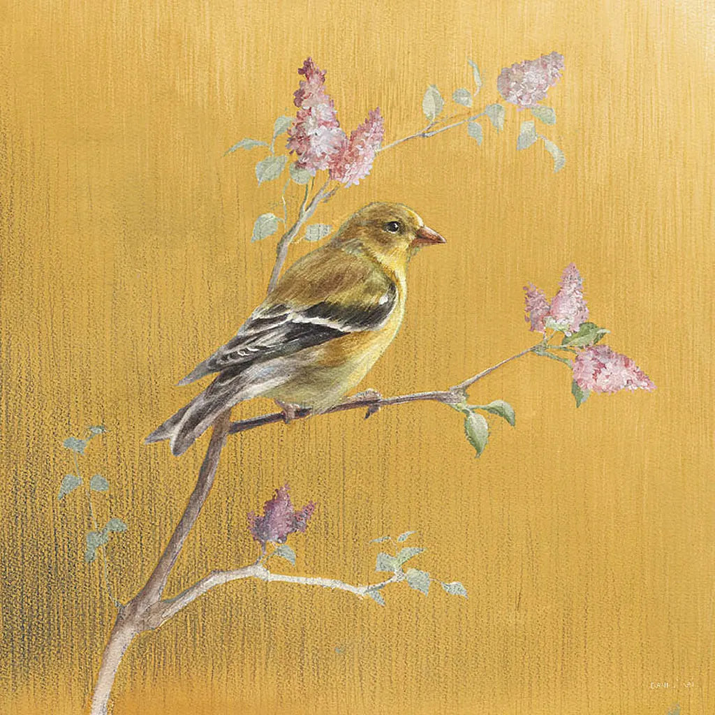 Female Goldfinch on Gold by Danhui Nai. SKU 24627a. Archival Giclee Fine art print for wall decor.