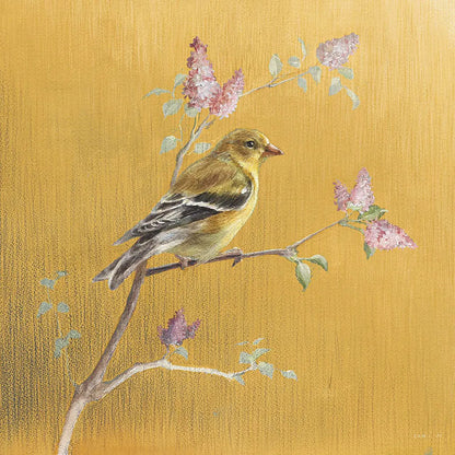 Female Goldfinch on Gold by Danhui Nai. SKU 24627a. Archival Giclee Fine art print for wall decor.