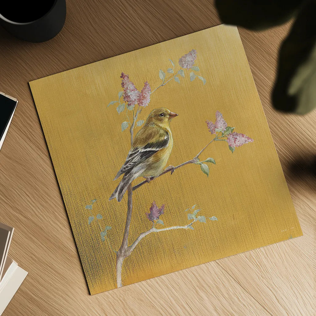 Female Goldfinch on Gold by Danhui Nai. Shown as a detailed flat fine art print, highlighting archival giclee quality. Available as an archival giclee rolled canvas, fine art paper, or poster print. SKU 24627a.