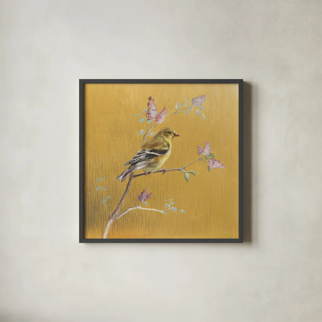 Female Goldfinch on Gold by Danhui Nai. Shown in a sleek black glass frame for a contemporary gallery look. Available as an archival giclee rolled canvas, fine art paper, or poster print. SKU 24627a.