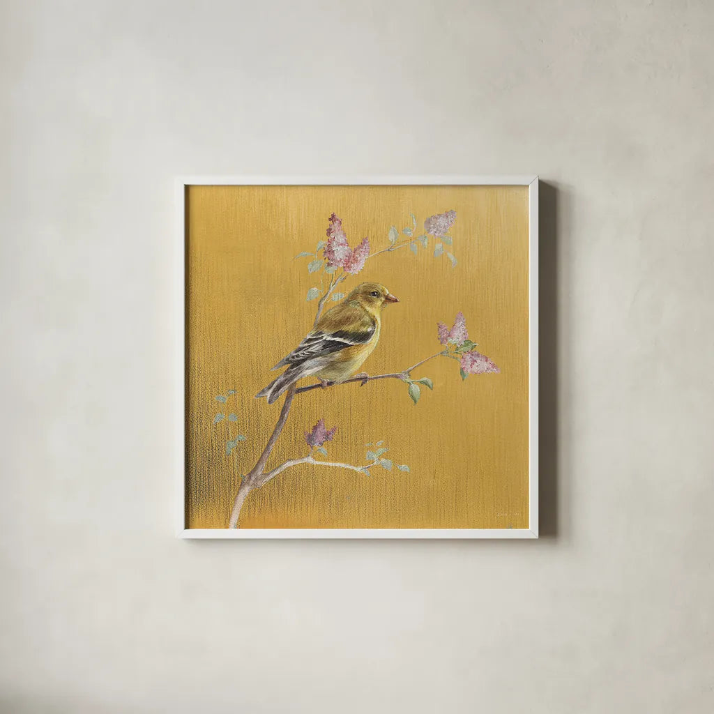 Female Goldfinch on Gold by Danhui Nai. Shown in a crisp white glass frame for a clean and minimalist style. Available as an archival giclee rolled canvas, fine art paper, or poster print. SKU 24627a.