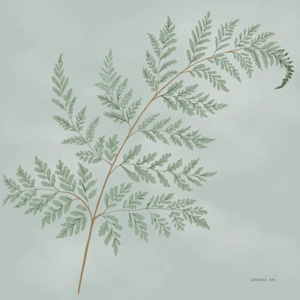 Fern I by Danhui Nai. SKU 84102a. Archival Giclee Fine art print for wall decor.