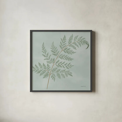Fern I by Danhui Nai. Shown in a sleek black glass frame for a contemporary gallery look. Available as an archival giclee rolled canvas, fine art paper, or poster print. SKU 84102a.
