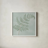 Fern I by Danhui Nai. Shown in a crisp white glass frame for a clean and minimalist style. Available as an archival giclee rolled canvas, fine art paper, or poster print. SKU 84102a.