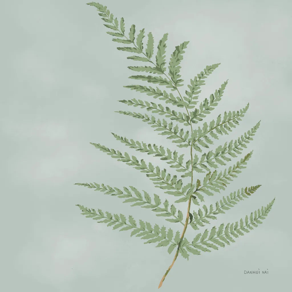 Fern II by Danhui Nai. SKU 84103a. Archival Giclee Fine art print for wall decor.