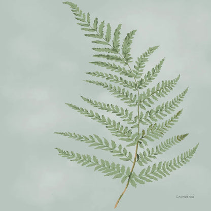 Fern II by Danhui Nai. SKU 84103a. Archival Giclee Fine art print for wall decor.