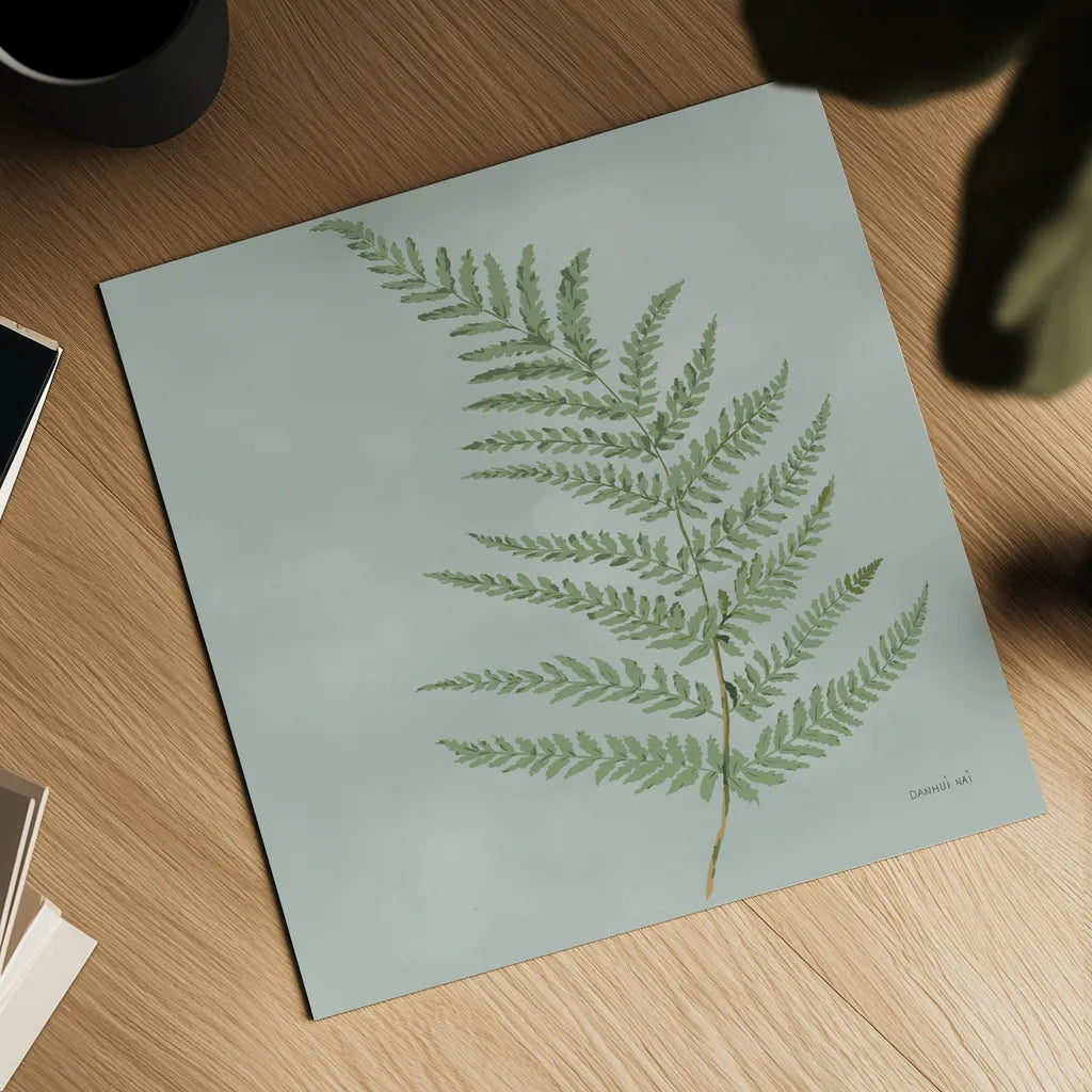Fern II by Danhui Nai. Shown as a detailed flat fine art print, highlighting archival giclee quality. Available as an archival giclee rolled canvas, fine art paper, or poster print. SKU 84103a.