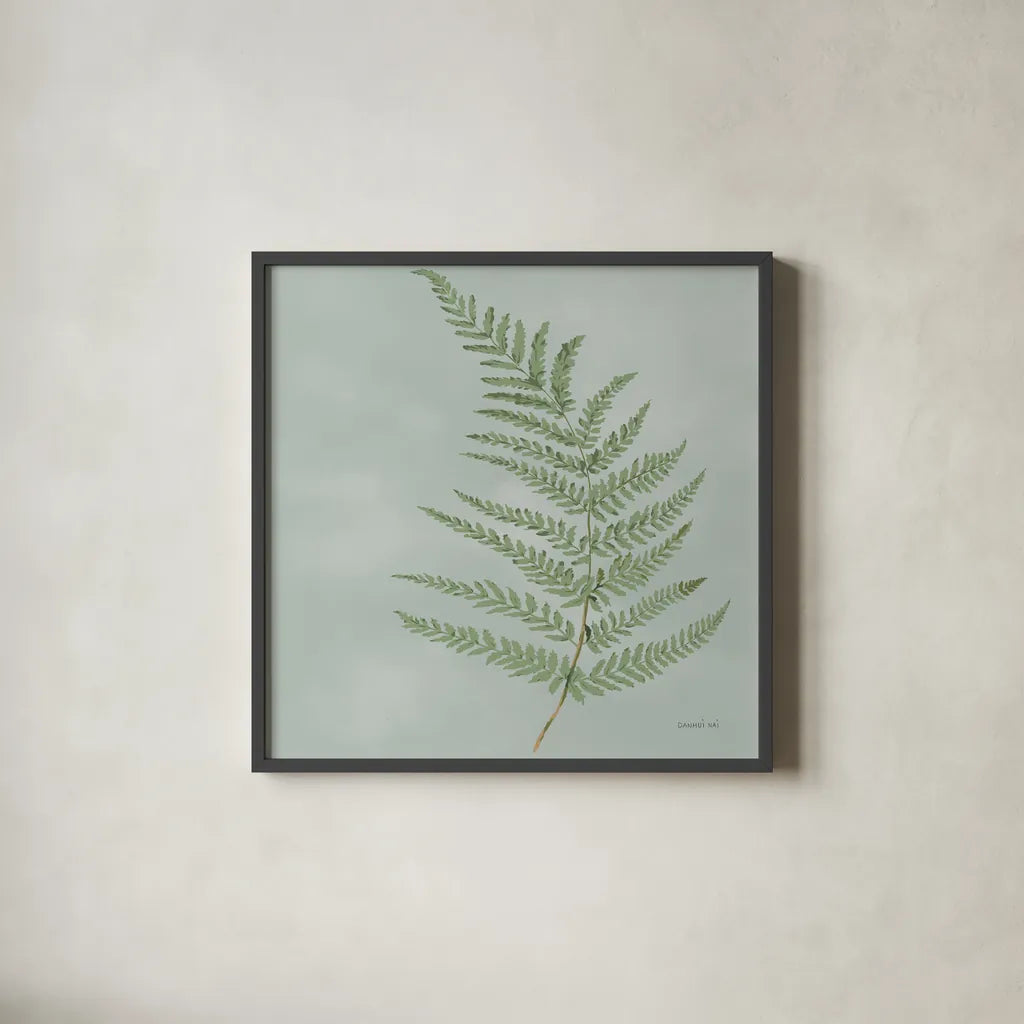Fern II by Danhui Nai. Shown in a sleek black glass frame for a contemporary gallery look. Available as an archival giclee rolled canvas, fine art paper, or poster print. SKU 84103a.