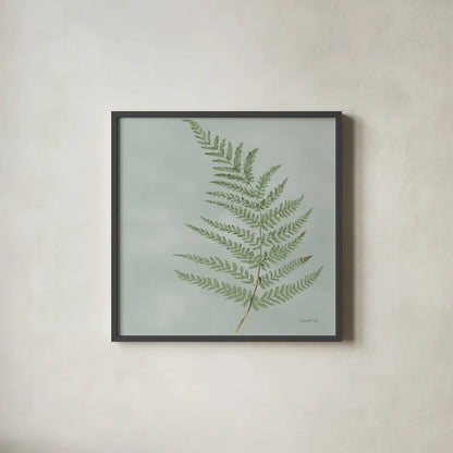 Fern II by Danhui Nai. Shown in a sleek black glass frame for a contemporary gallery look. Available as an archival giclee rolled canvas, fine art paper, or poster print. SKU 84103a.