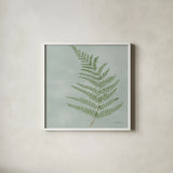Fern II by Danhui Nai. Shown in a crisp white glass frame for a clean and minimalist style. Available as an archival giclee rolled canvas, fine art paper, or poster print. SKU 84103a.