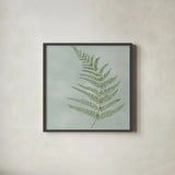 Fern II with Orange by Danhui Nai. Shown in a sleek black glass frame for a contemporary gallery look. Available as an archival giclee rolled canvas, fine art paper, or poster print. SKU 86269a.