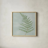 Fern II with Orange by Danhui Nai. Shown in a natural wood glass frame for a timeless modern aesthetic. Available as an archival giclee rolled canvas, fine art paper, or poster print. SKU 86269a.