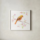 Flight Friends III by Danhui Nai. Shown in a crisp white glass frame for a clean and minimalist style. Available as an archival giclee rolled canvas, fine art paper, or poster print. SKU 68008a.