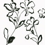 Floral Sketch I by Danhui Nai. SKU 92026a. Archival Giclee Fine art print for wall decor.