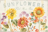 Floursack Autumn IX Sunflowers by Danhui Nai. SKU 54355i. Archival Giclee Fine art print for wall decor.