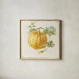 Floursack Autumn V v2 by Danhui Nai. Shown in a natural wood glass frame for a timeless modern aesthetic. Available as an archival giclee rolled canvas, fine art paper, or poster print. SKU 56290a.