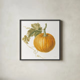 Floursack Autumn VI on White by Danhui Nai. Shown in a sleek black glass frame for a contemporary gallery look. Available as an archival giclee rolled canvas, fine art paper, or poster print. SKU 48781a.