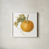 Floursack Autumn VI on White by Danhui Nai. Shown in a crisp white glass frame for a clean and minimalist style. Available as an archival giclee rolled canvas, fine art paper, or poster print. SKU 48781a.