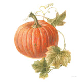 Floursack Autumn VIII on White by Danhui Nai. SKU 48783a. Archival Giclee Fine art print for wall decor.