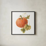 Floursack Autumn VIII on White by Danhui Nai. Shown in a sleek black glass frame for a contemporary gallery look. Available as an archival giclee rolled canvas, fine art paper, or poster print. SKU 48783a.