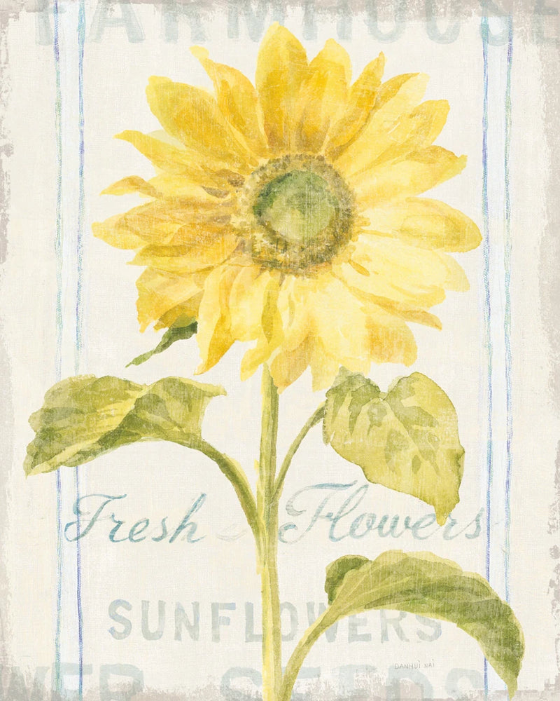 Floursack Florals II by Danhui Nai