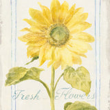 Floursack Florals II Crop by Danhui Nai. SKU 38755a. Archival Giclee Fine art print for wall decor.