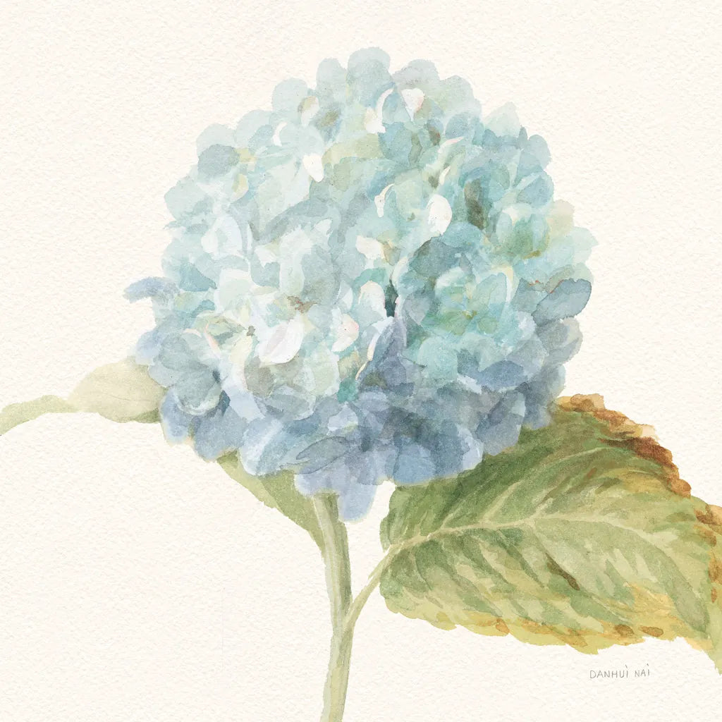 Floursack Florals V - Blue Hydrangea Crop by Danhui Nai. SKU 46926a. Archival Giclee Fine art print for wall decor.