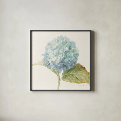 Floursack Florals V - Blue Hydrangea Crop by Danhui Nai. Shown in a sleek black glass frame for a contemporary gallery look. Available as an archival giclee rolled canvas, fine art paper, or poster print. SKU 46926a.