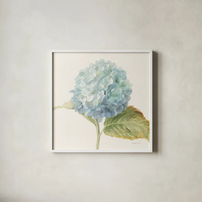 Floursack Florals V - Blue Hydrangea Crop by Danhui Nai. Shown in a crisp white glass frame for a clean and minimalist style. Available as an archival giclee rolled canvas, fine art paper, or poster print. SKU 46926a.