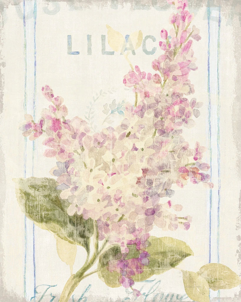 Floursack Florals V by Danhui Nai