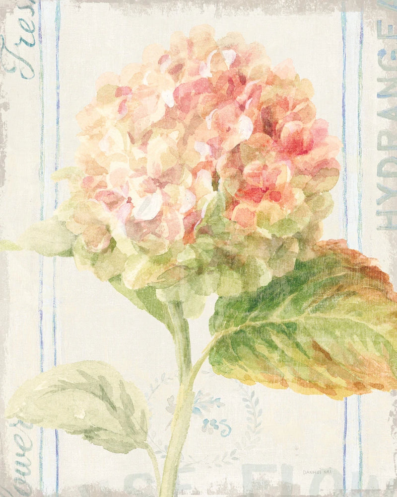 Floursack Florals VI by Danhui Nai