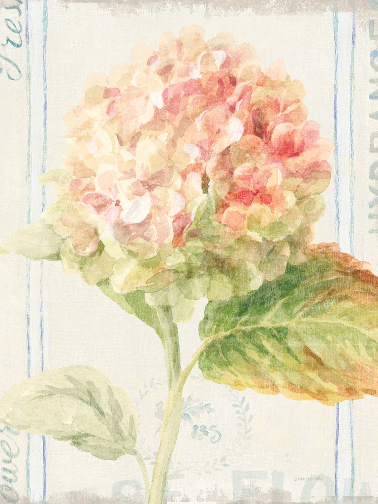 Floursack Florals VI Crop by Danhui Nai