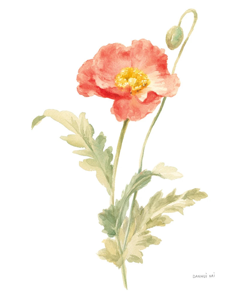Floursack Florals on White IV by Danhui Nai