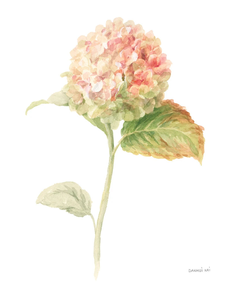 Floursack Florals on White V by Danhui Nai