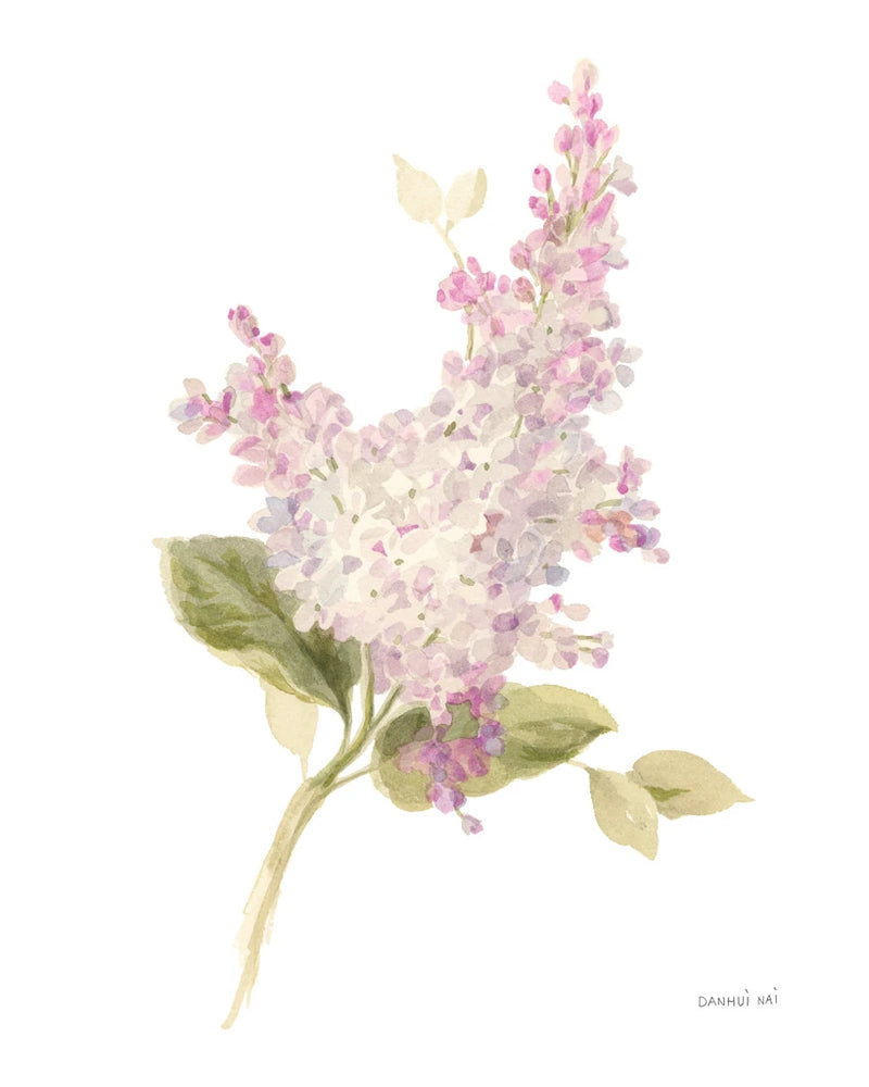 Floursack Florals on White VI by Danhui Nai