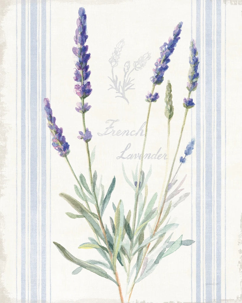 Floursack Lavender I by Danhui Nai