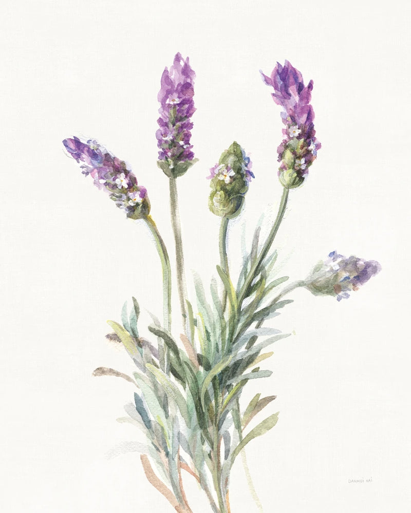 Floursack Lavender II on Linen by Danhui Nai