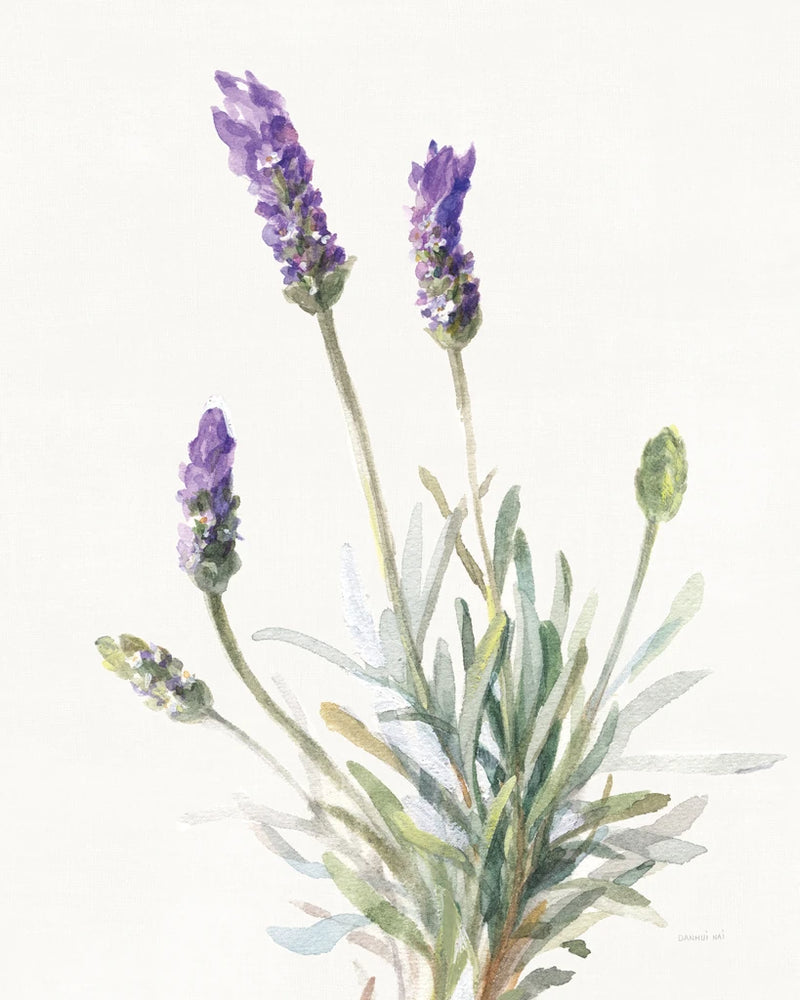 Floursack Lavender III on Linen by Danhui Nai