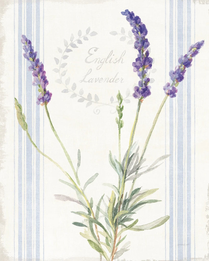Floursack Lavender IV by Danhui Nai