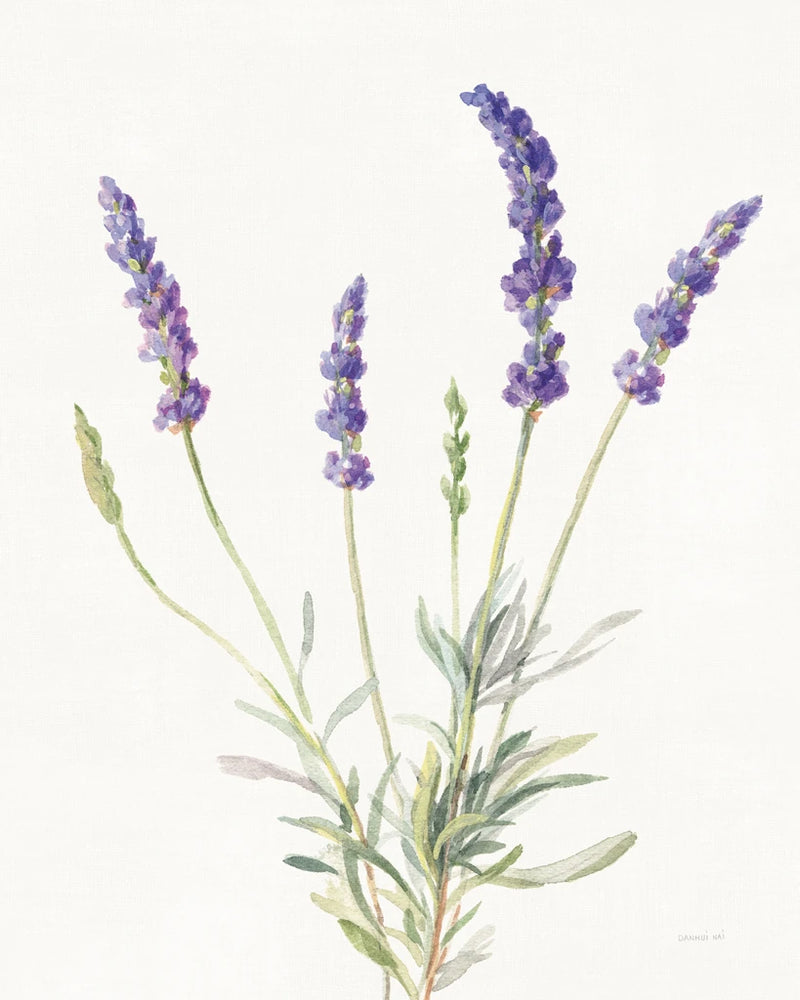 Floursack Lavender IV on Linen by Danhui Nai