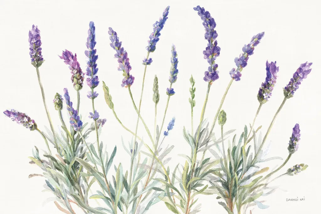 Floursack Lavender V on Linen by Danhui Nai. SKU 68719i. Archival Giclee Fine art print for wall decor.