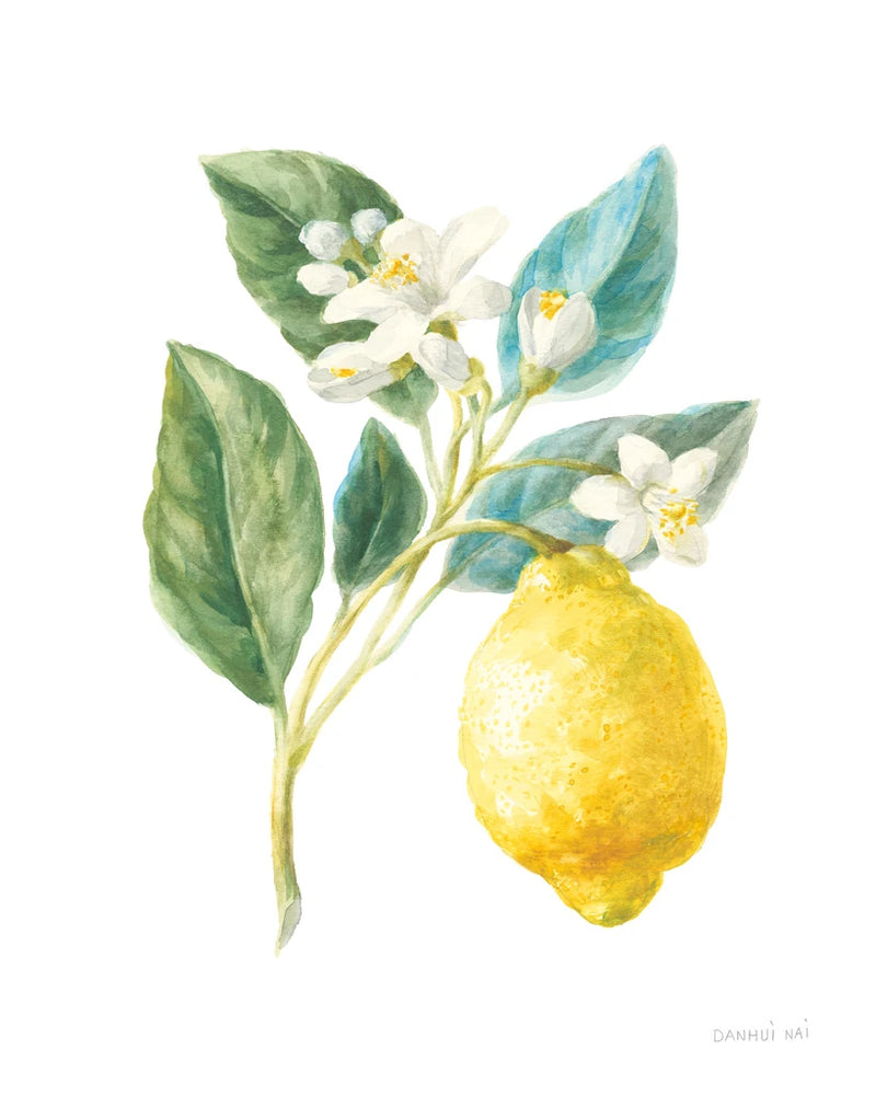 Floursack Lemon I on White by Danhui Nai