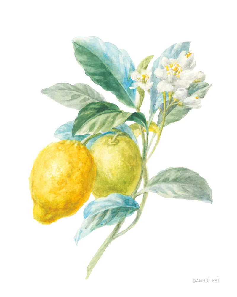 Floursack Lemon II on White by Danhui Nai