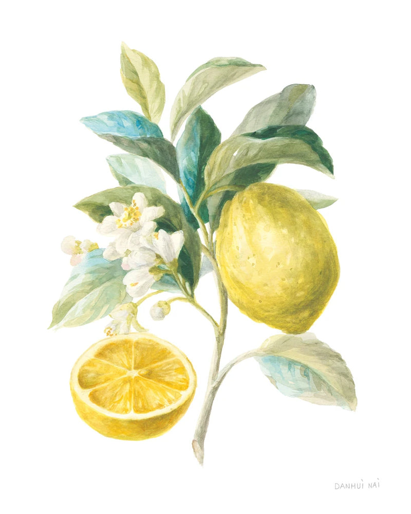Floursack Lemon III on White by Danhui Nai