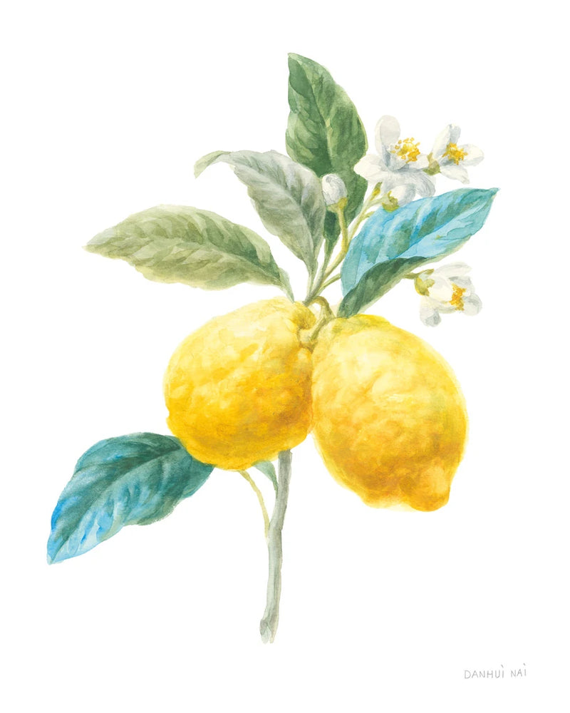 Floursack Lemon IV on White by Danhui Nai